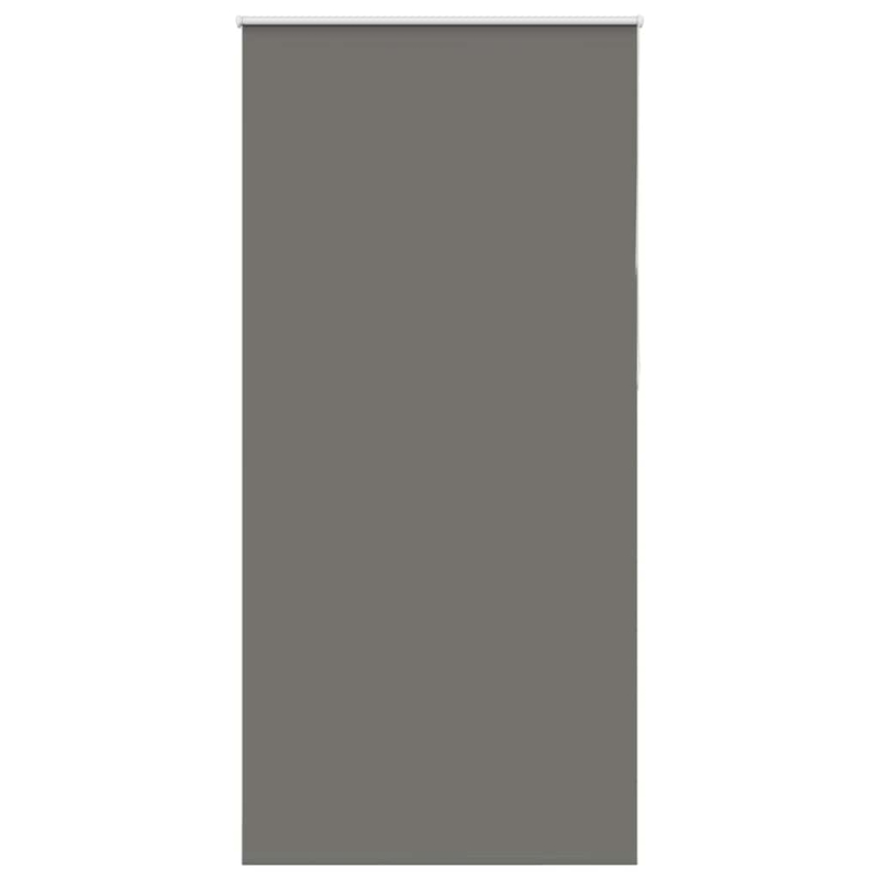 Verdunkelungsrollo Grau 100x210cm Stoffbreite 95,7 cm Polyester