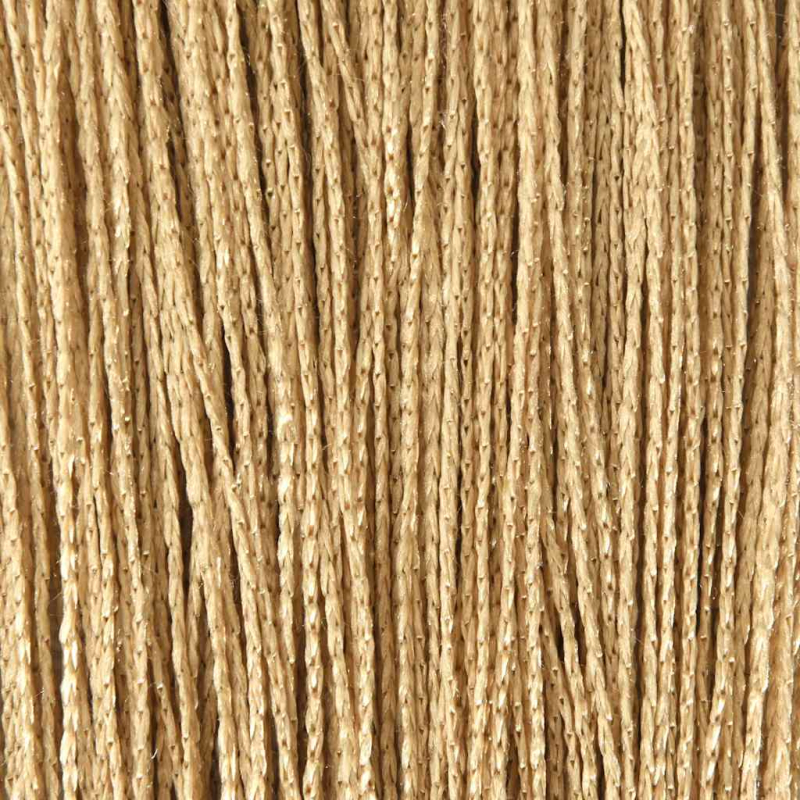 Fadenvorhänge 2 Stk. 100 x 250 cm Beige