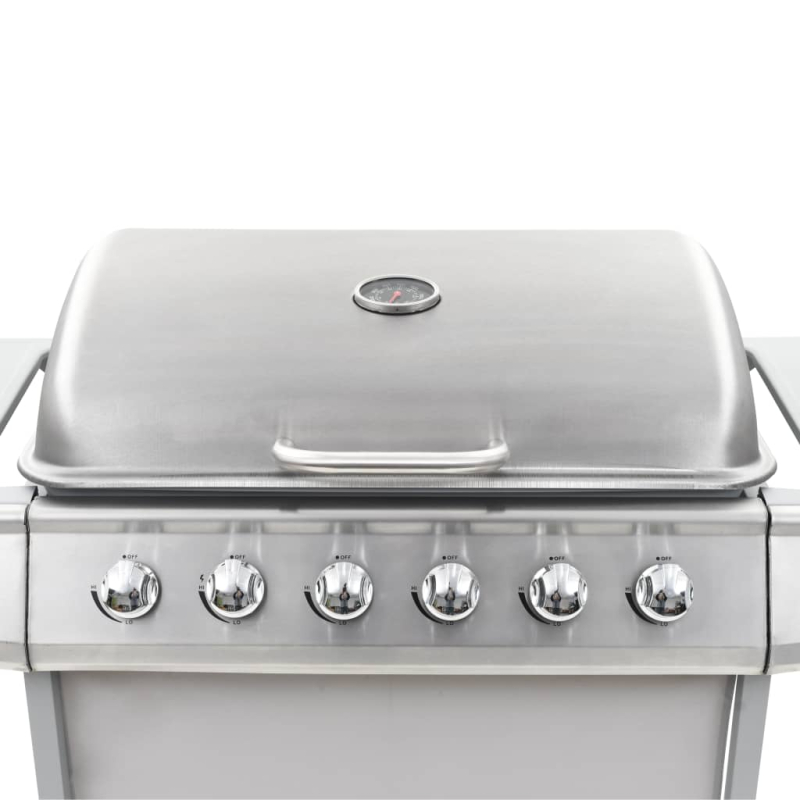 Gasgrill mit 6 Flammen Edelstahl Silbern