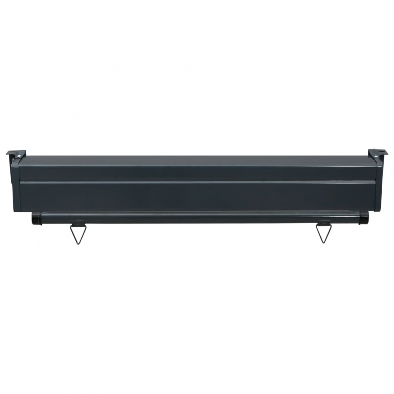 Balkon-Seitenmarkise 105x250 cm Grau