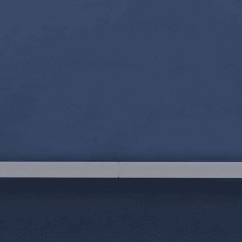 Profi-Partyzelt mit Seitenwänden 4×6 m Blau 90 g/m²