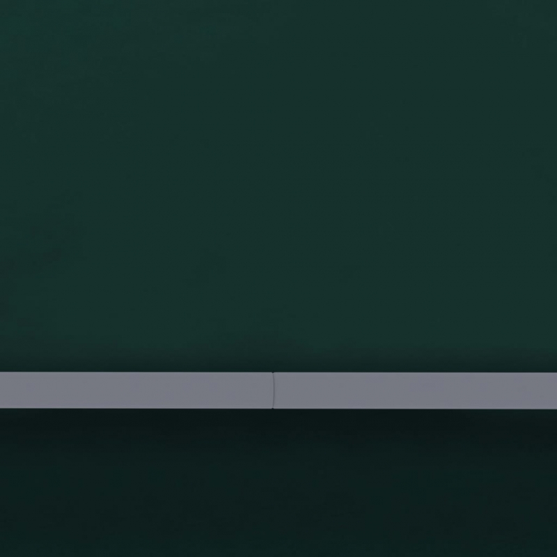 Profi-Partyzelt mit Seitenwänden 4×4 m Grün 90 g/m²