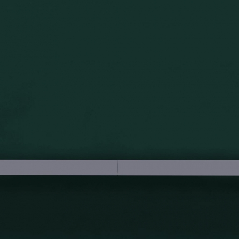 Profi-Partyzelt mit Seitenwänden 4×6 m Grün 90 g/m²