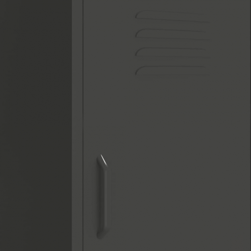 Lagerschrank Anthrazit 42,5x35x101,5 cm Stahl
