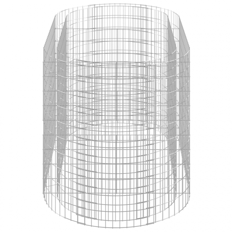 Gabionen-Hochbeet Verzinktes Eisen 200x100x100 cm
