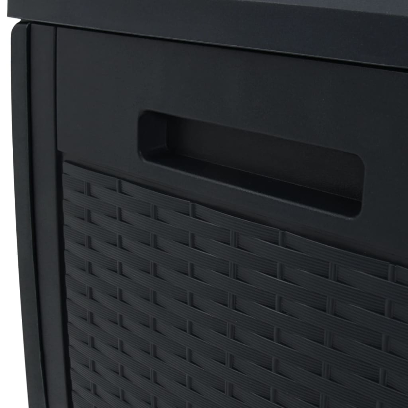 Gartentruhe Anthrazit 119x48x60 cm Polypropylen