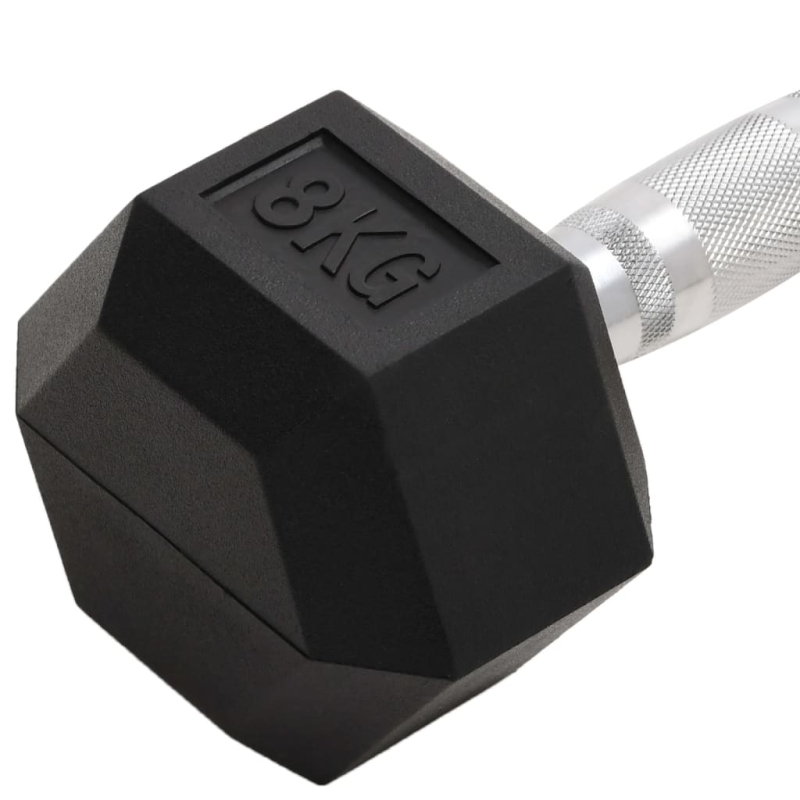 Kurzhanteln 2 Stk. 16 kg Gusseisen