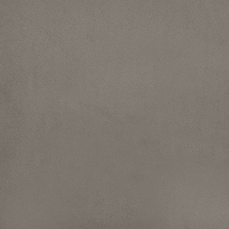 Zierkissen 2 Stk. Hellgrau 40x40 cm Samt