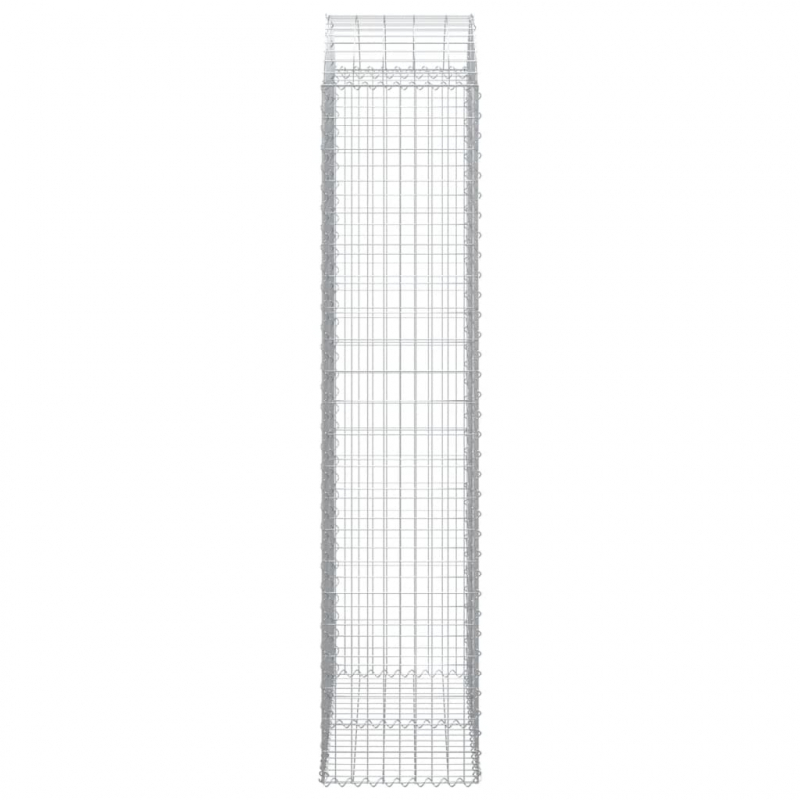 Gabione mit Hochbogen 100x50x220/240 cm Verzinktes Eisen