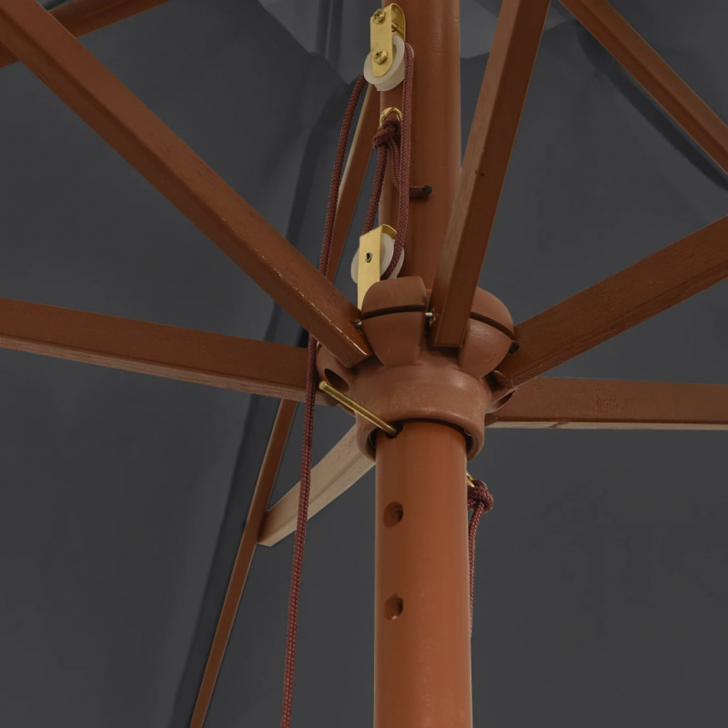 Sonnenschirm mit Holzmast Schwarz 299x240 cm