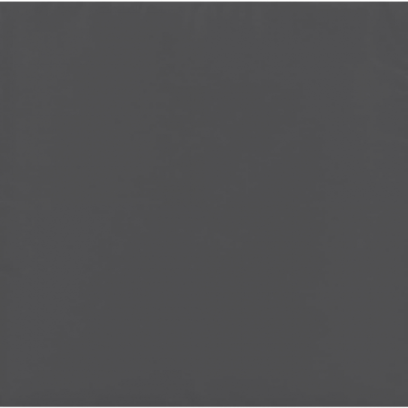 4-tlg. Garten-Lounge-Set mit Kissen Anthrazit Poly Rattan