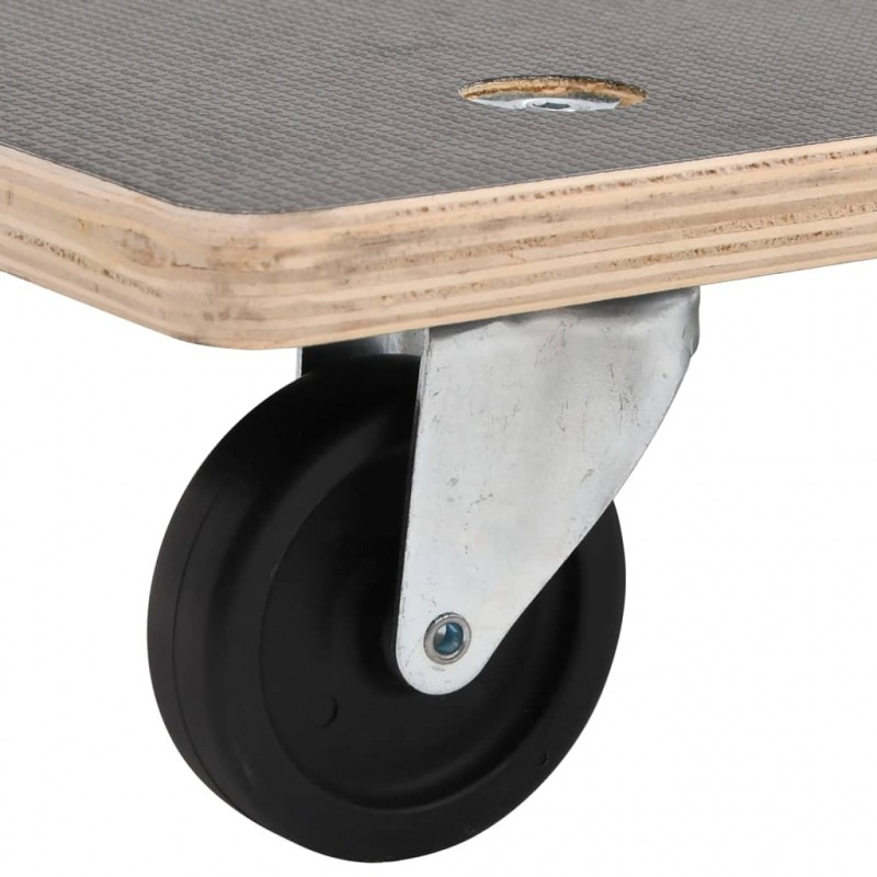 Rollbretter 2 Stk. Rechteckig 50x35x11,5 cm