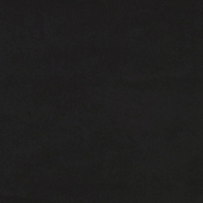 2-Sitzer-Sofa mit Zierkissen Schwarz 120 cm Samt