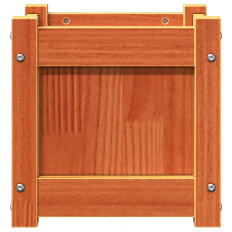 Pflanzkübel Wachsbraun 31x31x31 cm Massivholz Kiefer