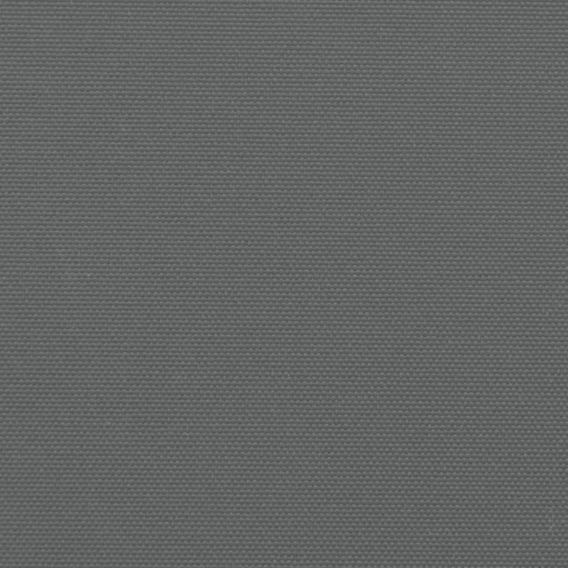 Seitenmarkise Ausziehbar Anthrazit 117x300 cm