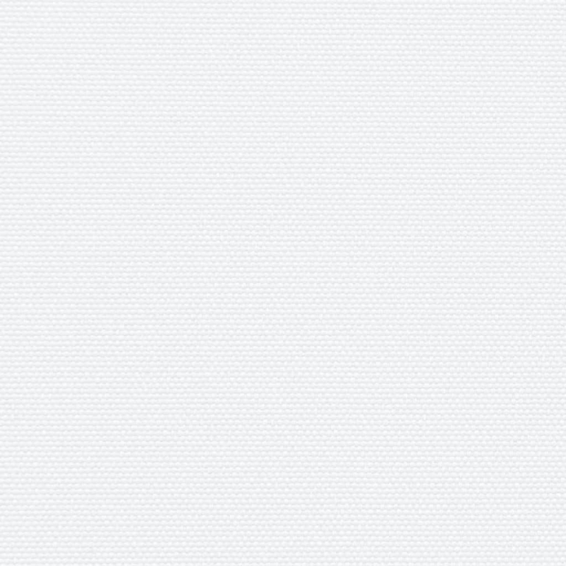 Seitenmarkise Ausziehbar Weiß 120x600 cm