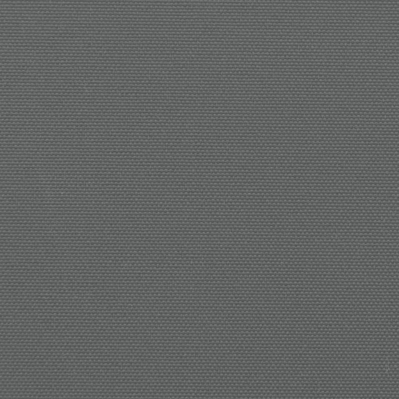 Seitenmarkise Ausziehbar Anthrazit 100x600 cm