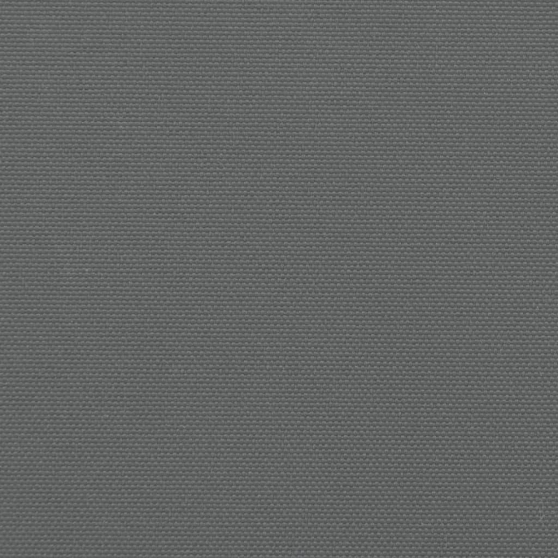 Seitenmarkise Ausziehbar Anthrazit 180x1000 cm