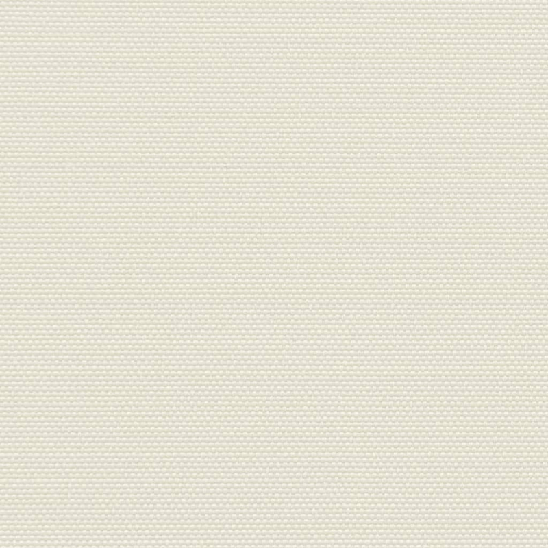 Seitenmarkise Ausziehbar Creme 200x1000 cm