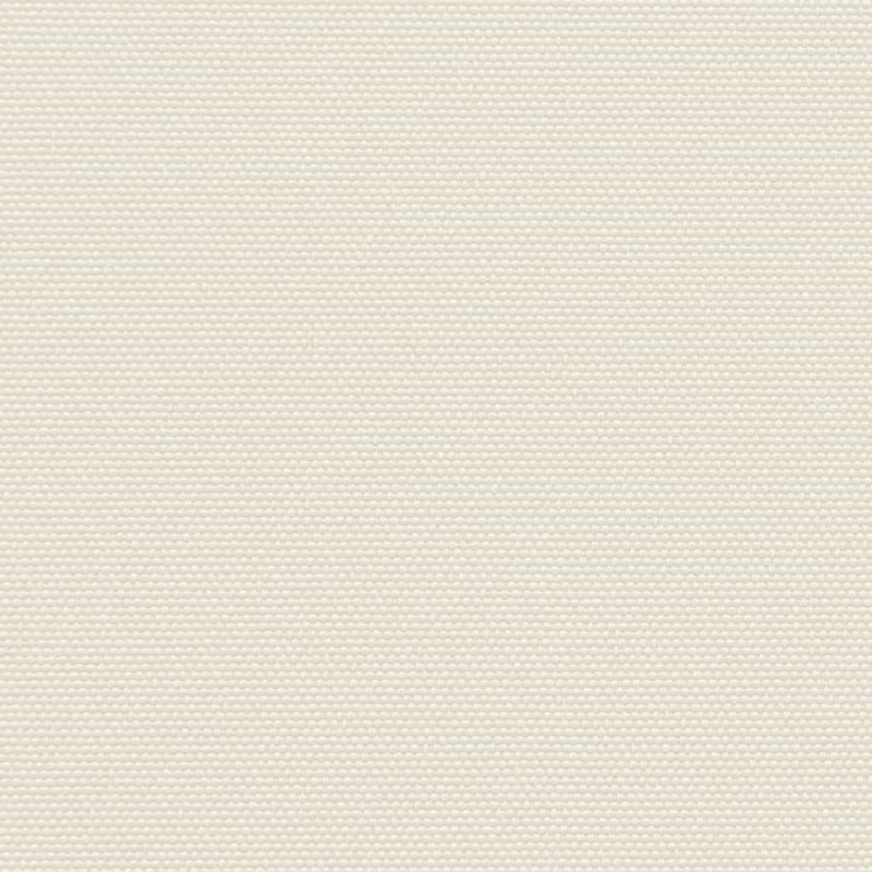 Seitenmarkise Ausziehbar Creme 220x1000 cm