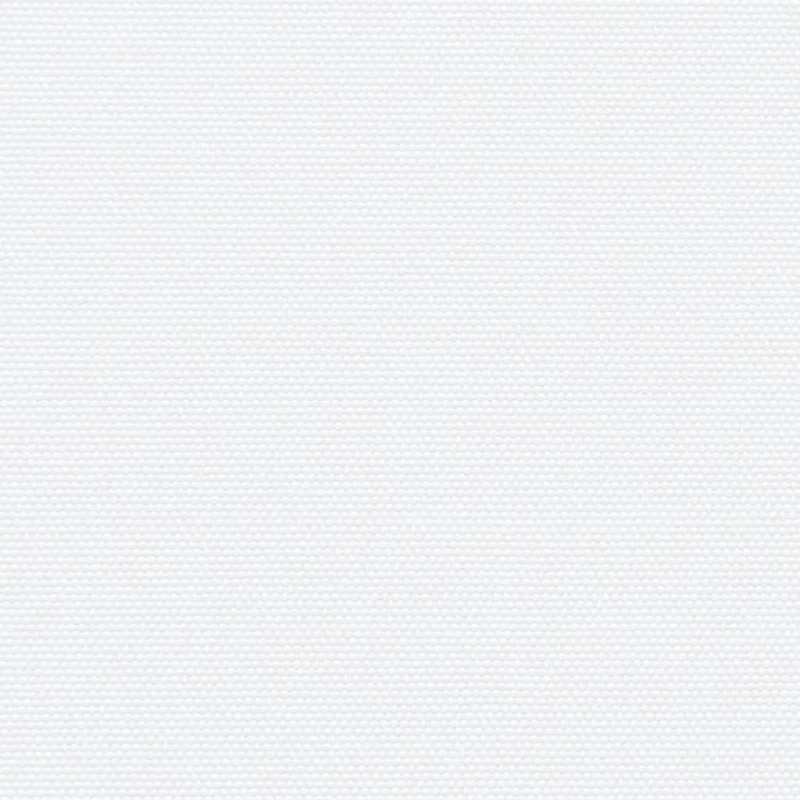 Seitenmarkise Ausziehbar Weiß 160x1200 cm