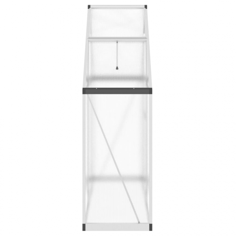 Gewächshaus mit Fundamentrahmen Silbern 169x58x195cm Aluminimum