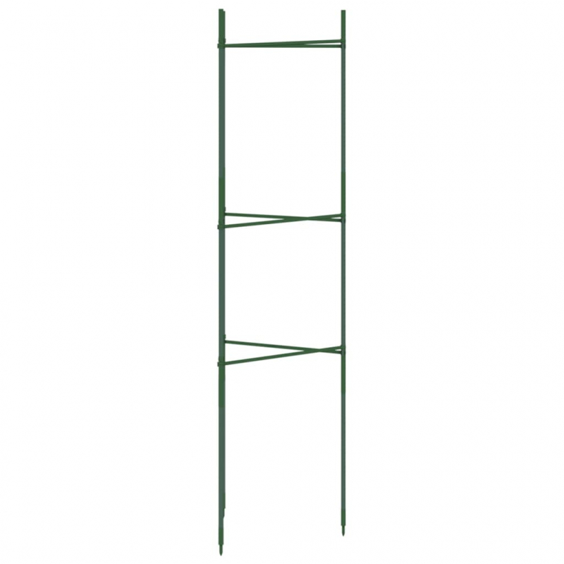 Tomatenkäfige 6 Stk. 116 cm Stahl und PP