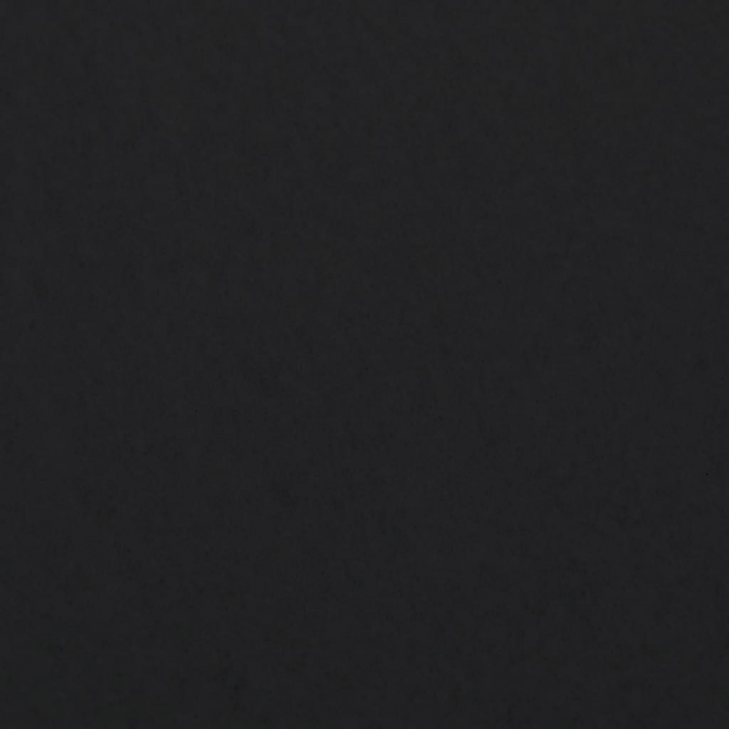 Geotextil-Vlies Schwarz 1x10 m Polyesterfaser