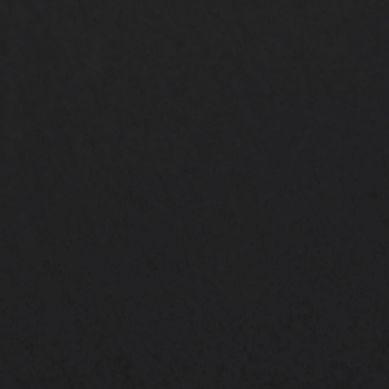 Geotextil-Vlies Schwarz 1x50 m Polyesterfaser