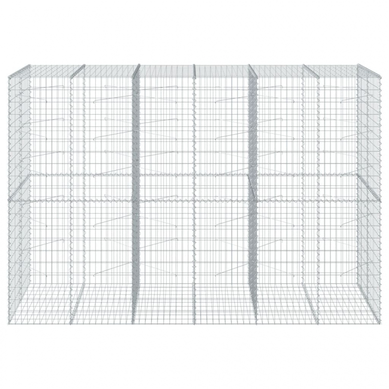 Gabione mit Deckel 300x100x200 cm Verzinktes Eisen
