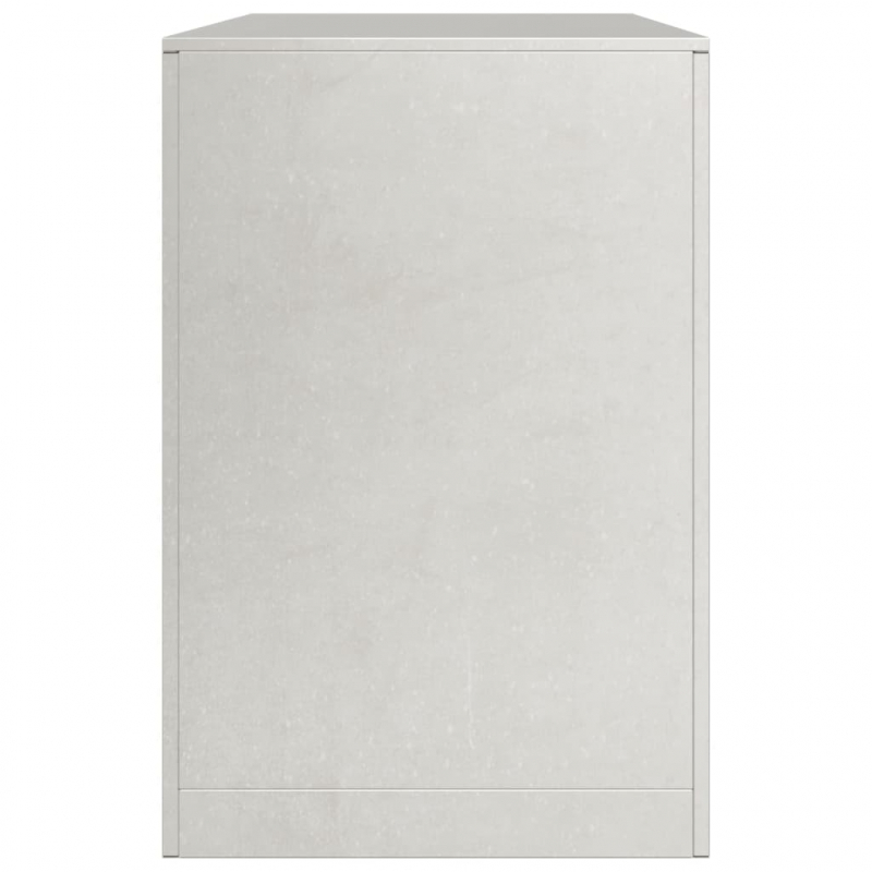 Brennholzregal 100x40x60 cm Edelstahl