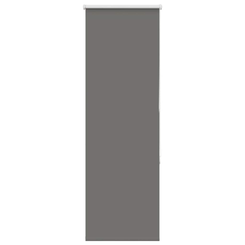 Verdunkelungsrollo Grau 60x130 cm Stoffbreite 55,7 cm Polyester
