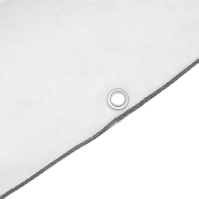 Transparente Plane mit Ösen 4x6 m Polyethylen