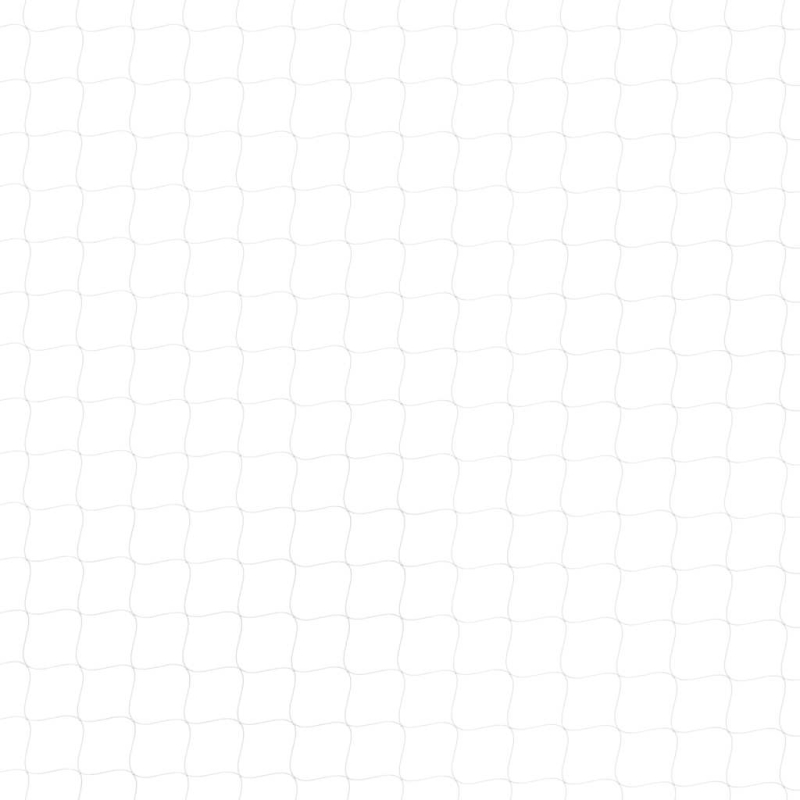 Katzennetz Transparent 3x2 m Nylon