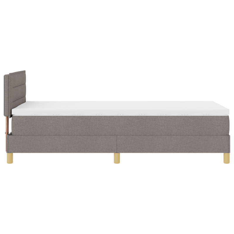 Boxspringbett mit Matratze & LED Taupe 100x200 cm Stoff