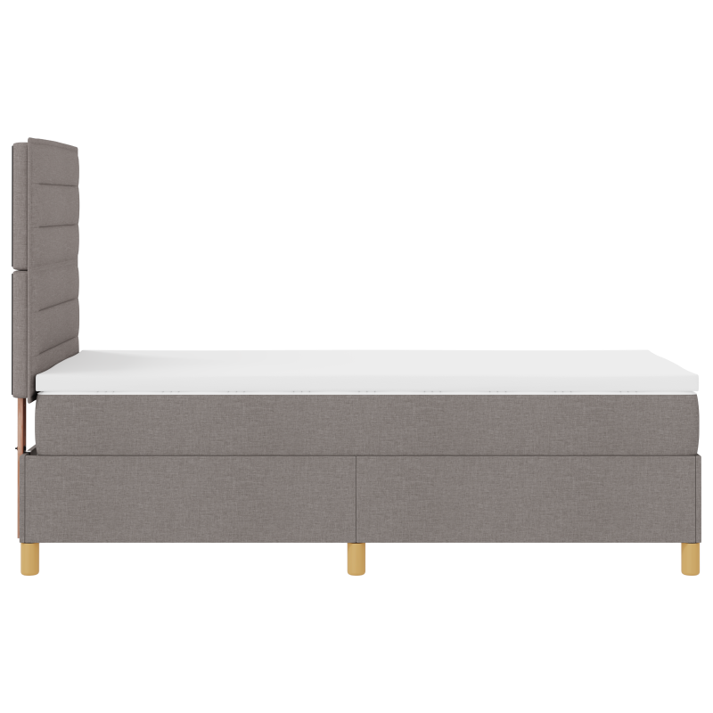 Boxspringbett mit Matratze und LED Taupe 100x200 cm Stoff