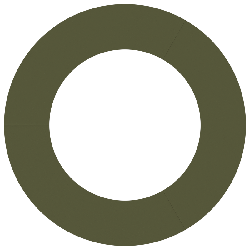 Schiebetür mit Hardware Set Weiß 83 x 202 cm Massivholz Kiefer