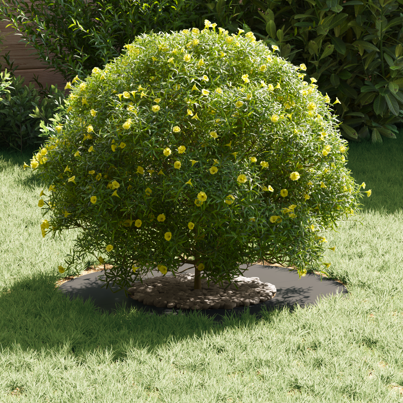 Metallpflanzgefäß Schwarz Metall 60 x 60 x 1.3 cm