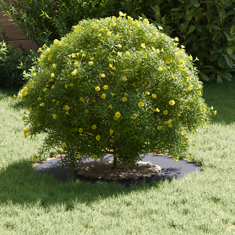 Schiebetür Set Weiß 83x202 cm Massivholz Kiefer