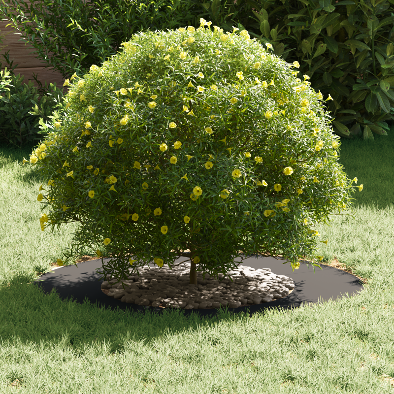 Schiebetür mit Beschlägen Set Weiß 83x202 cm Massivholz Kiefer